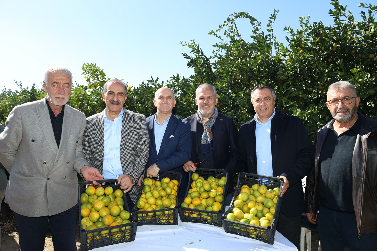 “Mandalina rekoltesinde yüzde 10-20 artış bekliyoruz”