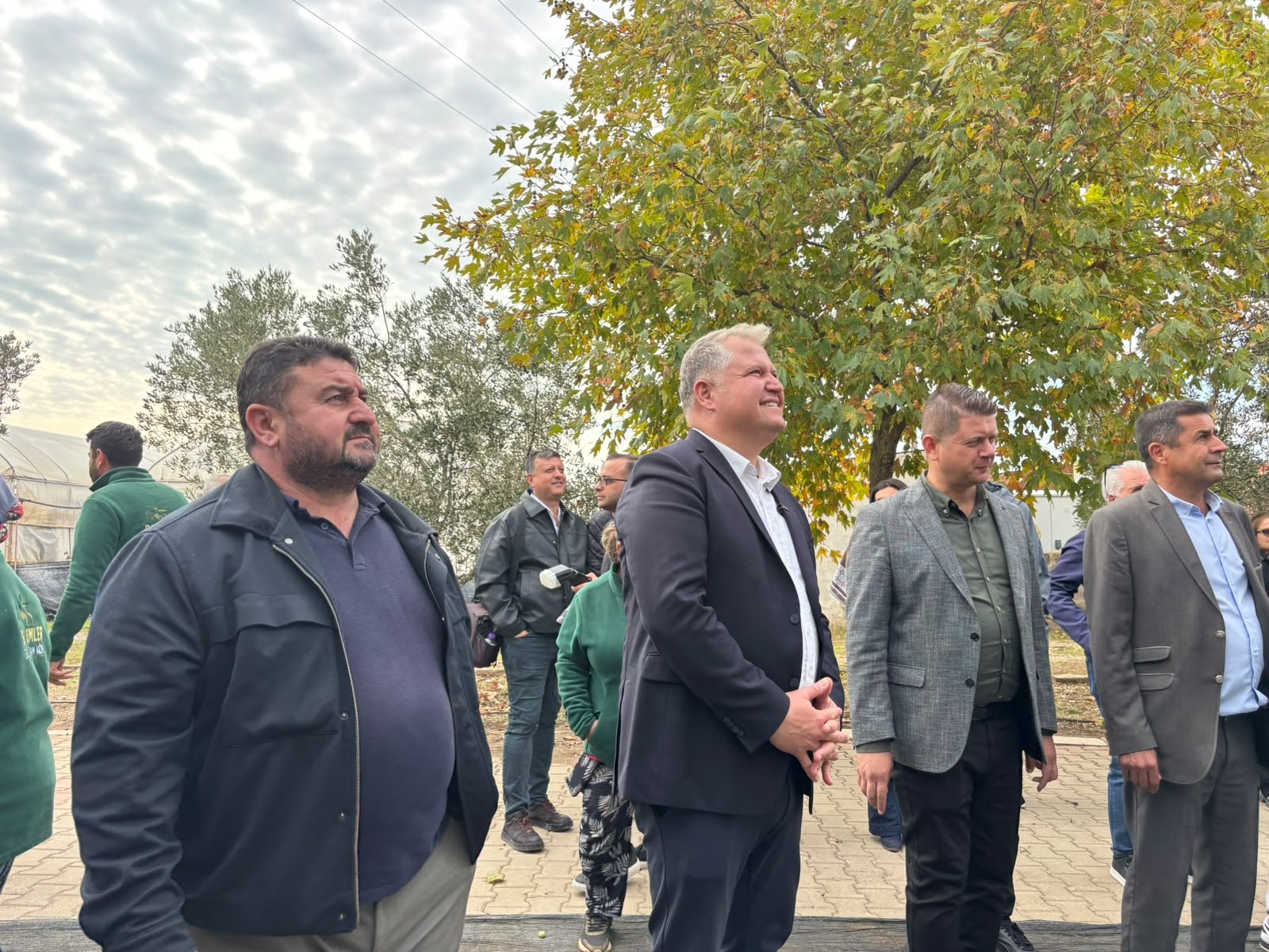 Urla'da zeytin, üretim, gastronomi ve sanatla buluşuyor